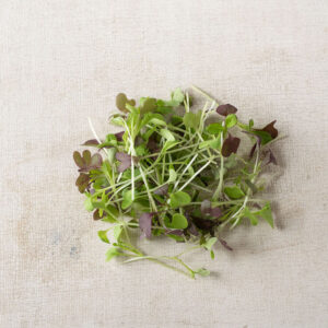 image of Spicy MIcrogreens Mix