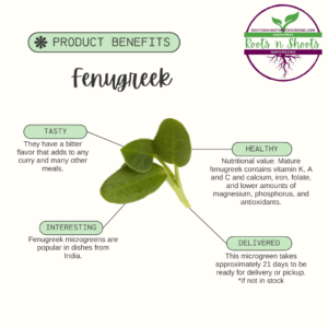 picture of one fenugreek microgreen with text about flavor, uses, nutritional value, and how to order