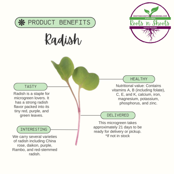 picture of one radish microgreen with text about flavor, uses, nutritional value, and how to order