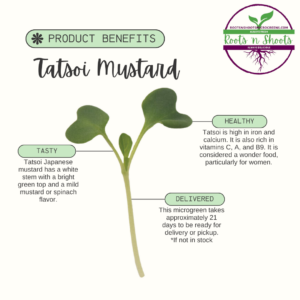 picture of one tatsoi microgreen with text about flavor, uses, nutritional value, and how to order