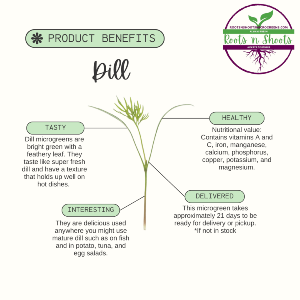 picture of one dill microgreen with text about flavor, uses, nutritional value, and how to order