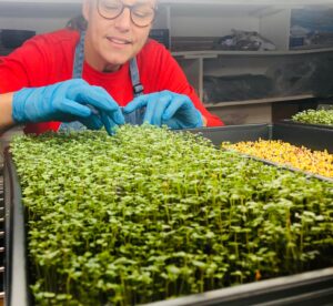 Photo of Roots 'N Shoots grow room.