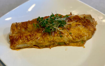 Red Pasilla Enchiladas with Microgreens