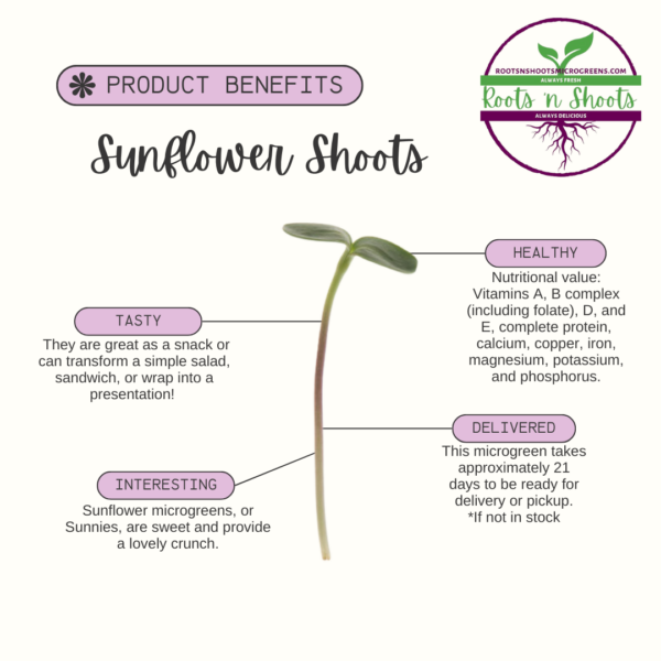 picture of one sunflower microgreen with text about flavor, uses, nutritional value, and how to order